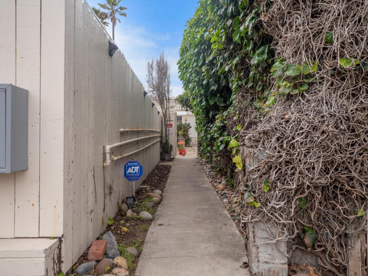 Sunset Cliffs Oceanfront Casita W Fast Wifi, Large Outdoor Space & Ocean Breeze! Holiday home San Diego